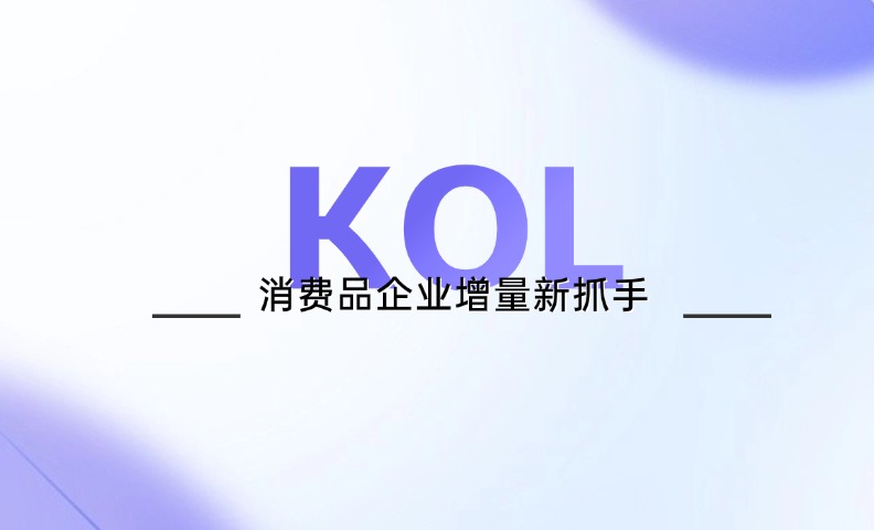 消费品企业增量新抓手：KOL运营